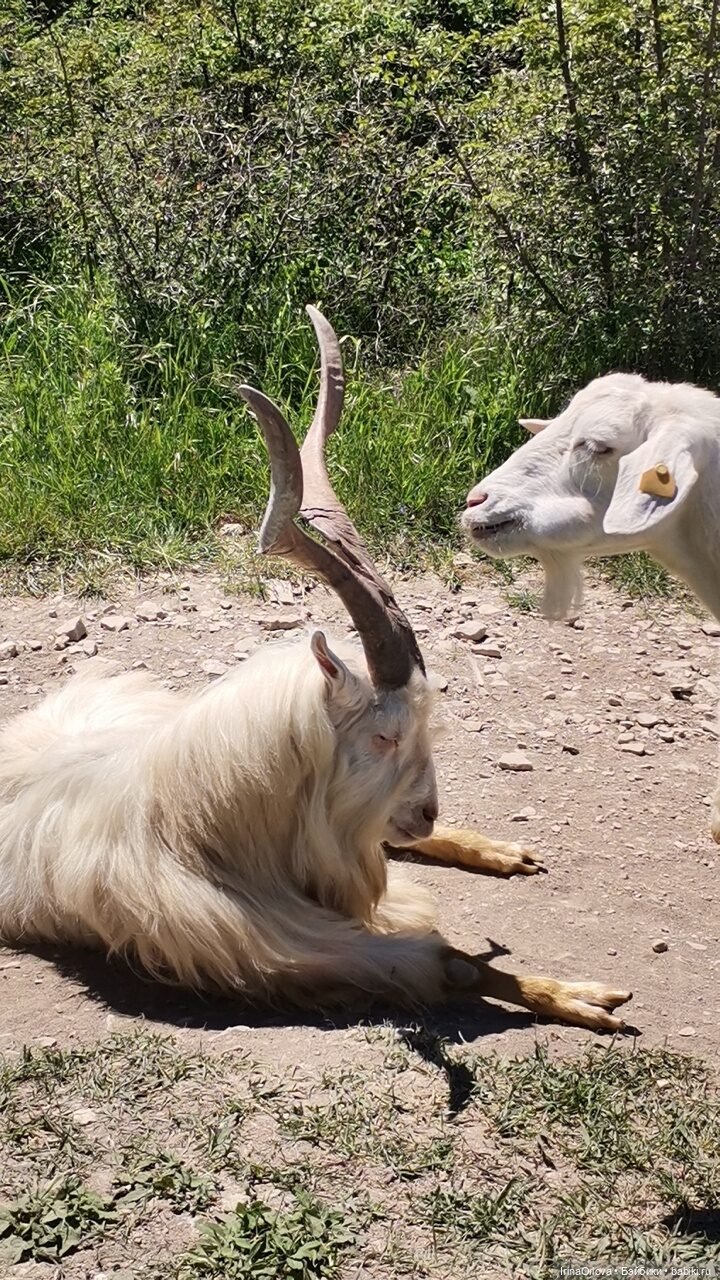 Маша - покорительница вершин