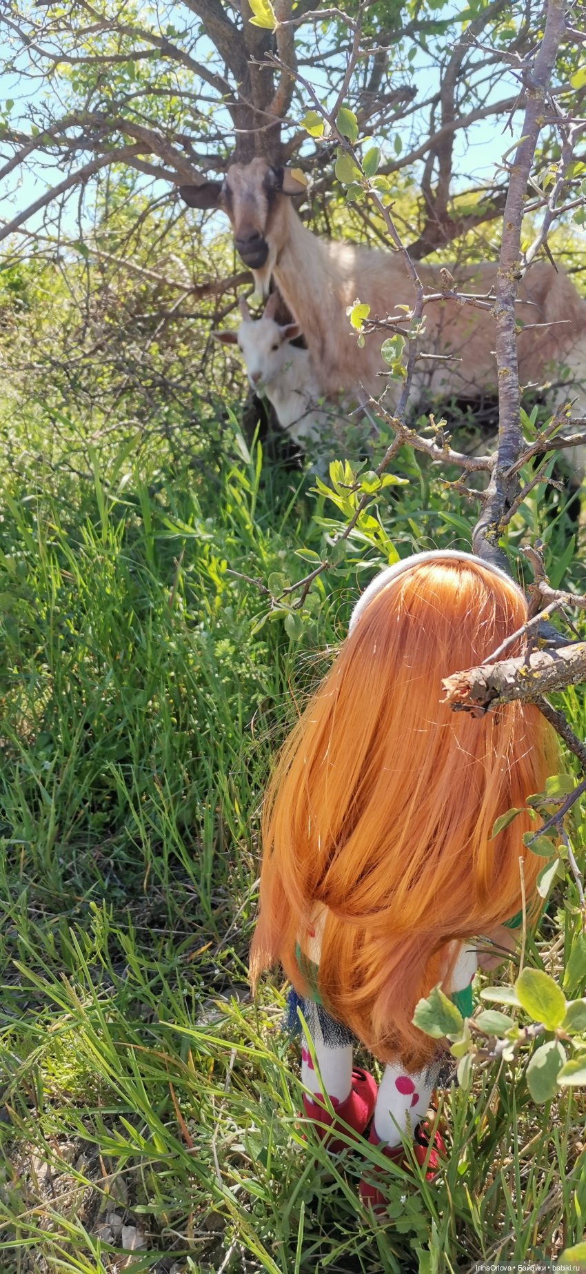 Маша - покорительница вершин