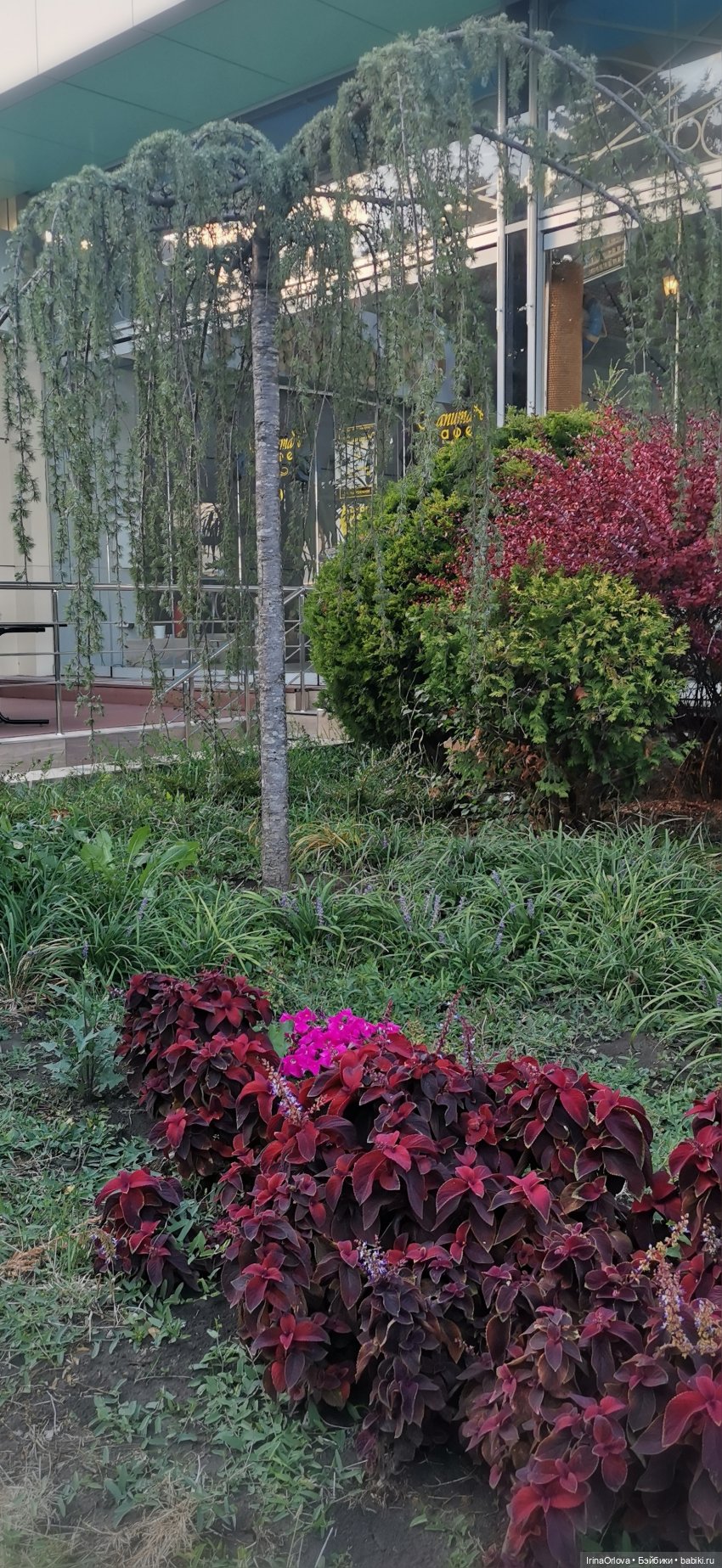 Прогулка по осенней Анапе