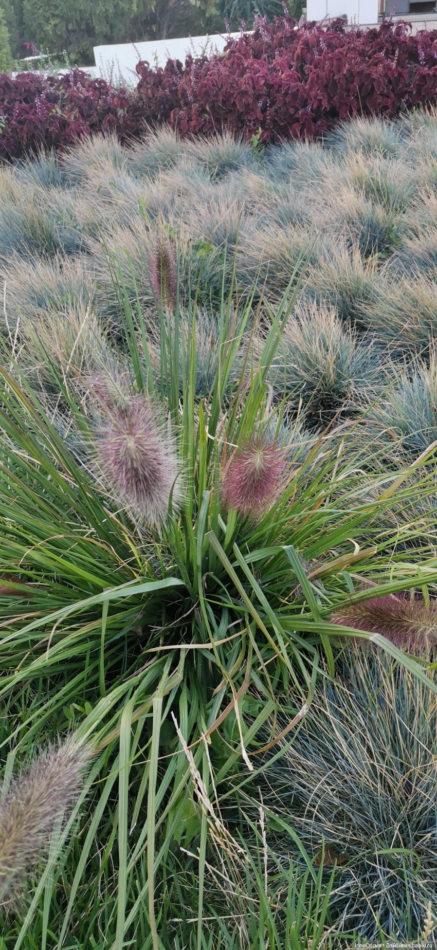 Прогулка по осенней Анапе