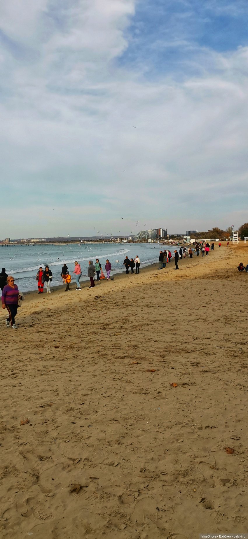 Прогулка по осенней Анапе (фото 9)