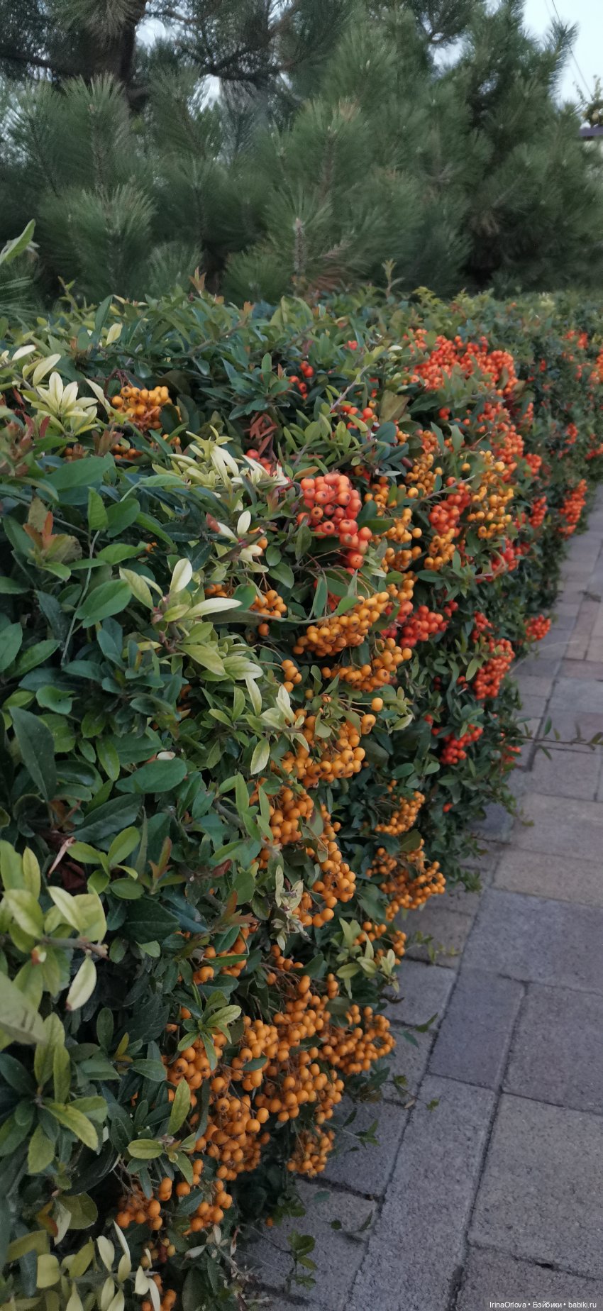 Прогулка по осенней Анапе