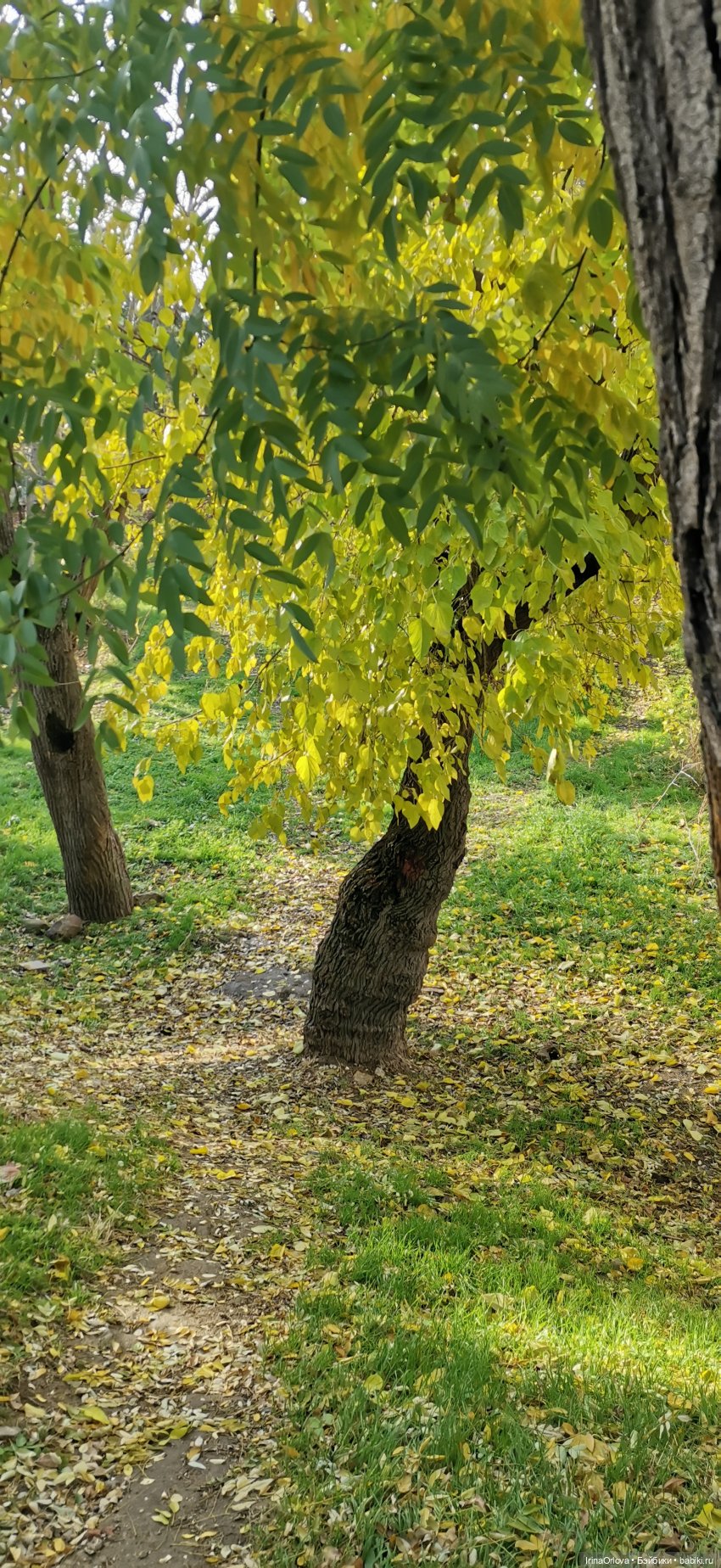 Прогулка по осенней Анапе
