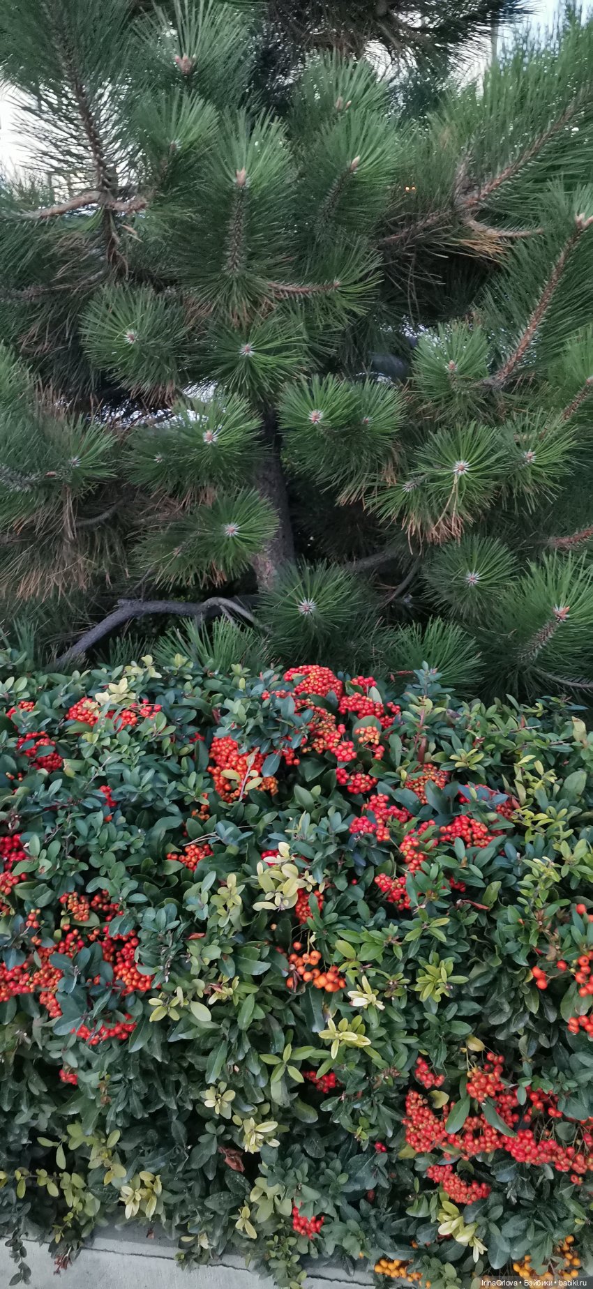 Прогулка по осенней Анапе