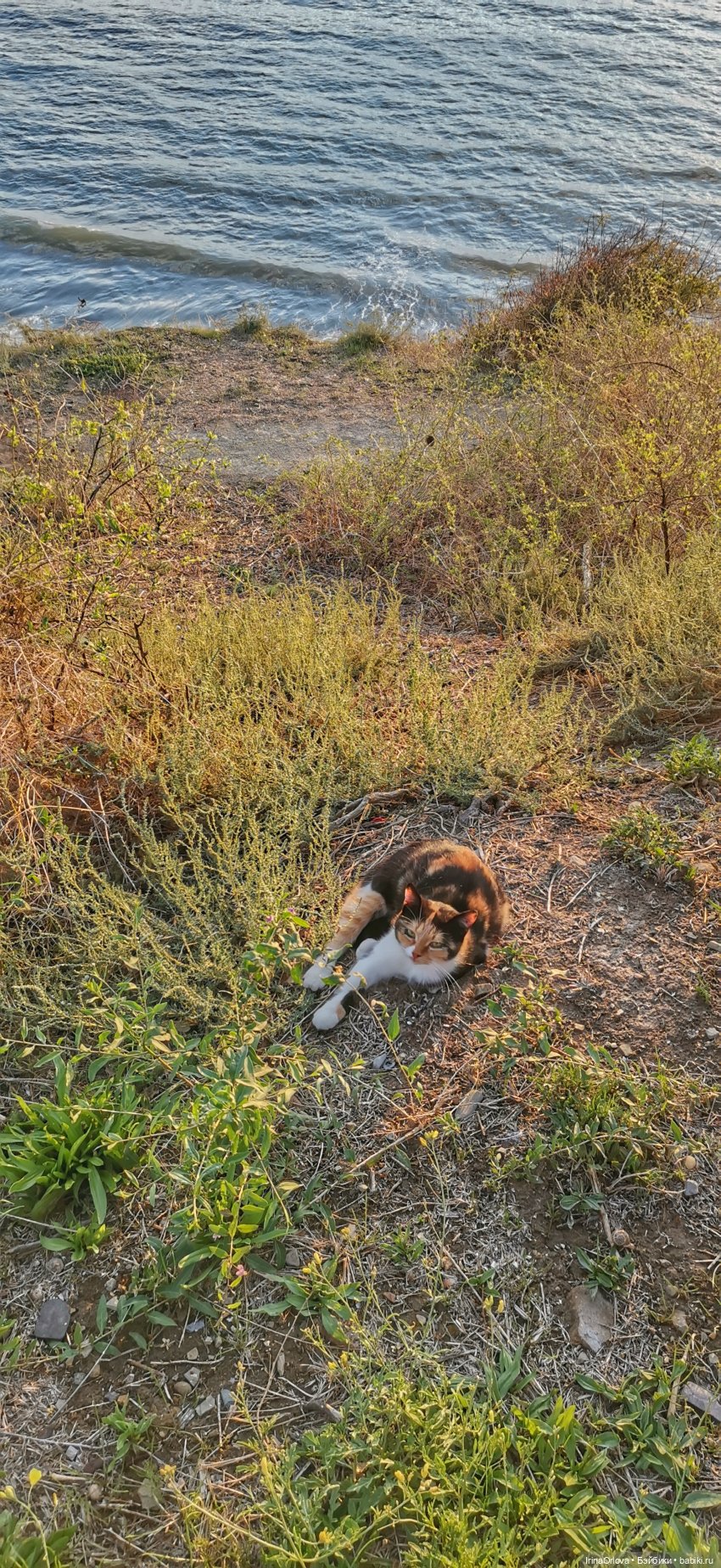 Прогулка по осенней Анапе
