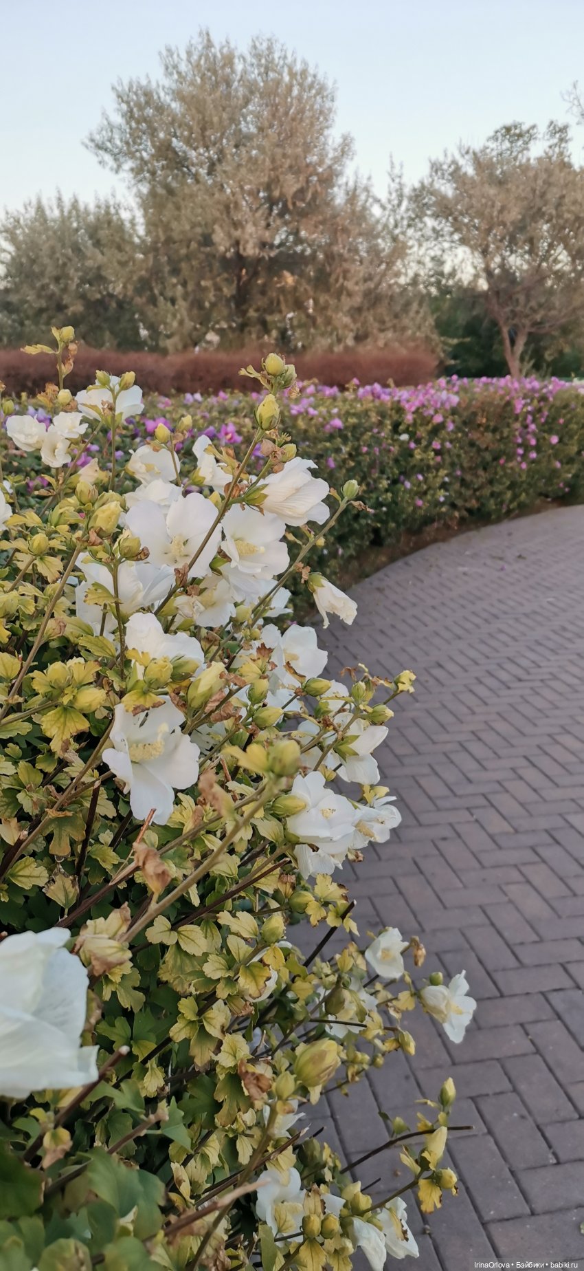 Прогулка по осенней Анапе