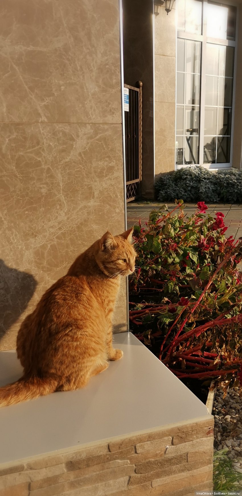 Прогулка по осенней Анапе