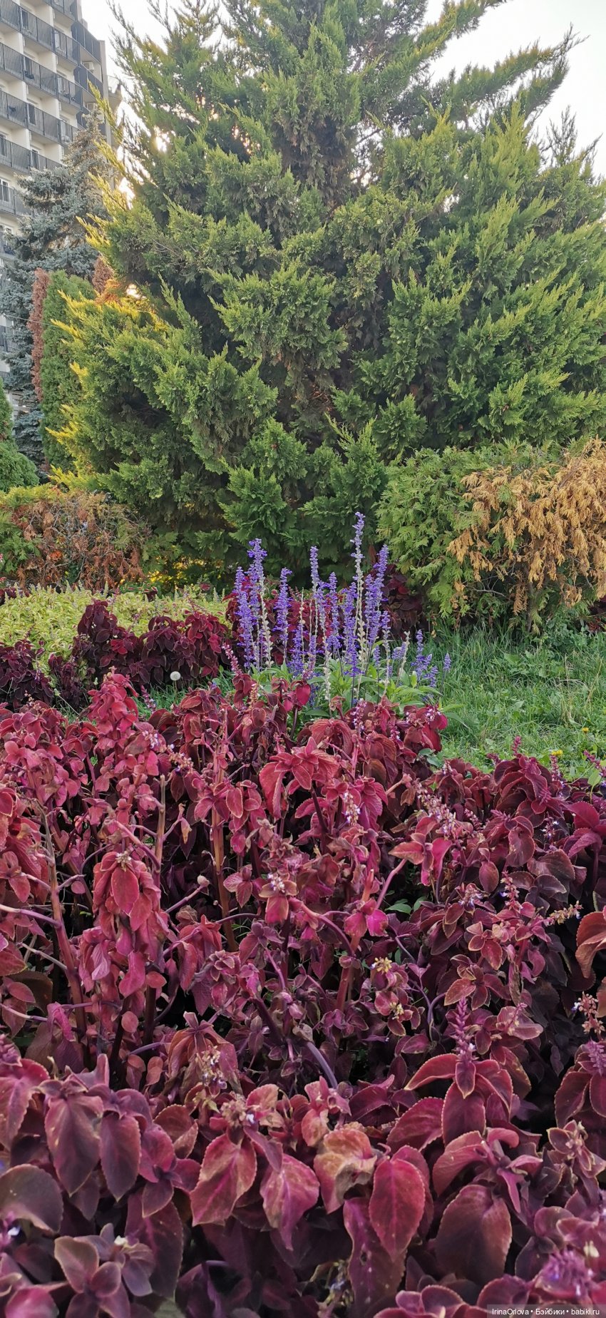 Прогулка по осенней Анапе