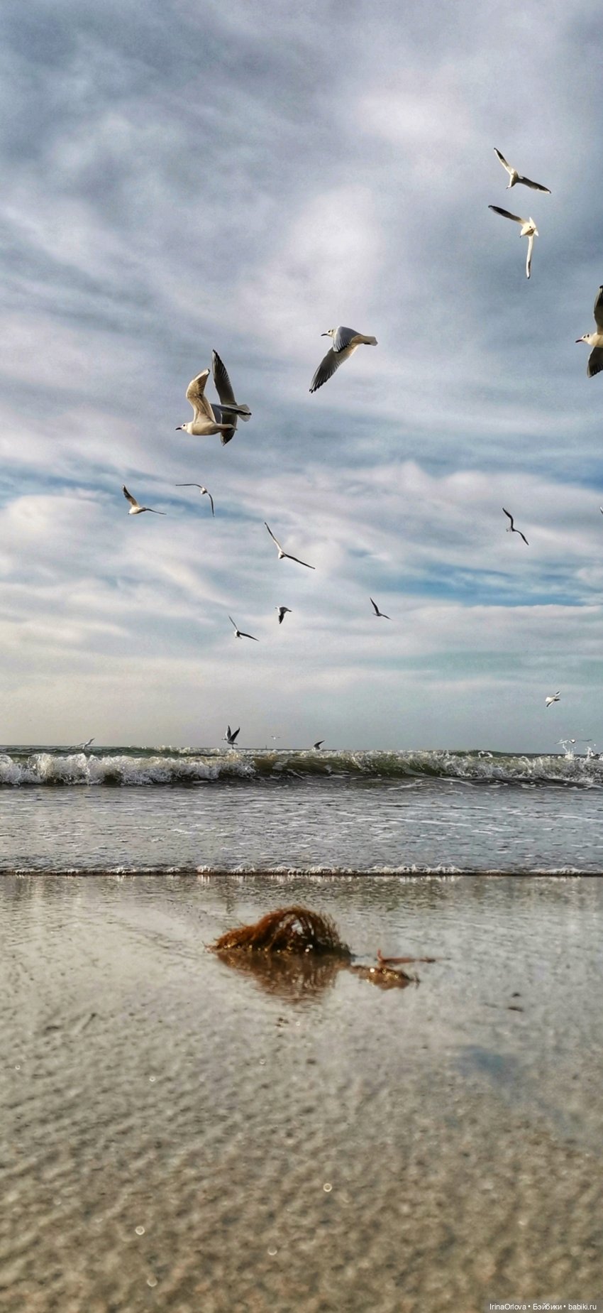 Прогулка по осенней Анапе