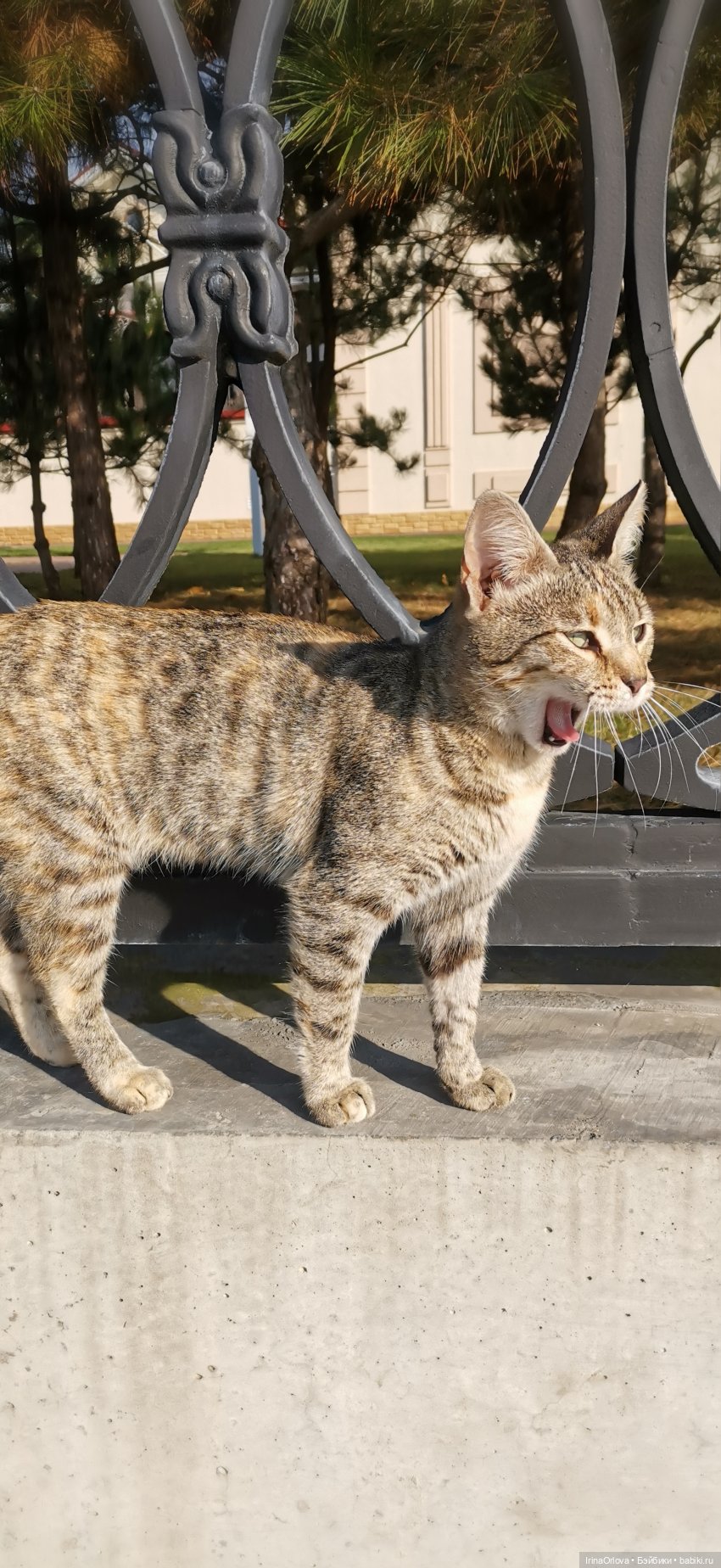 Прогулка по осенней Анапе