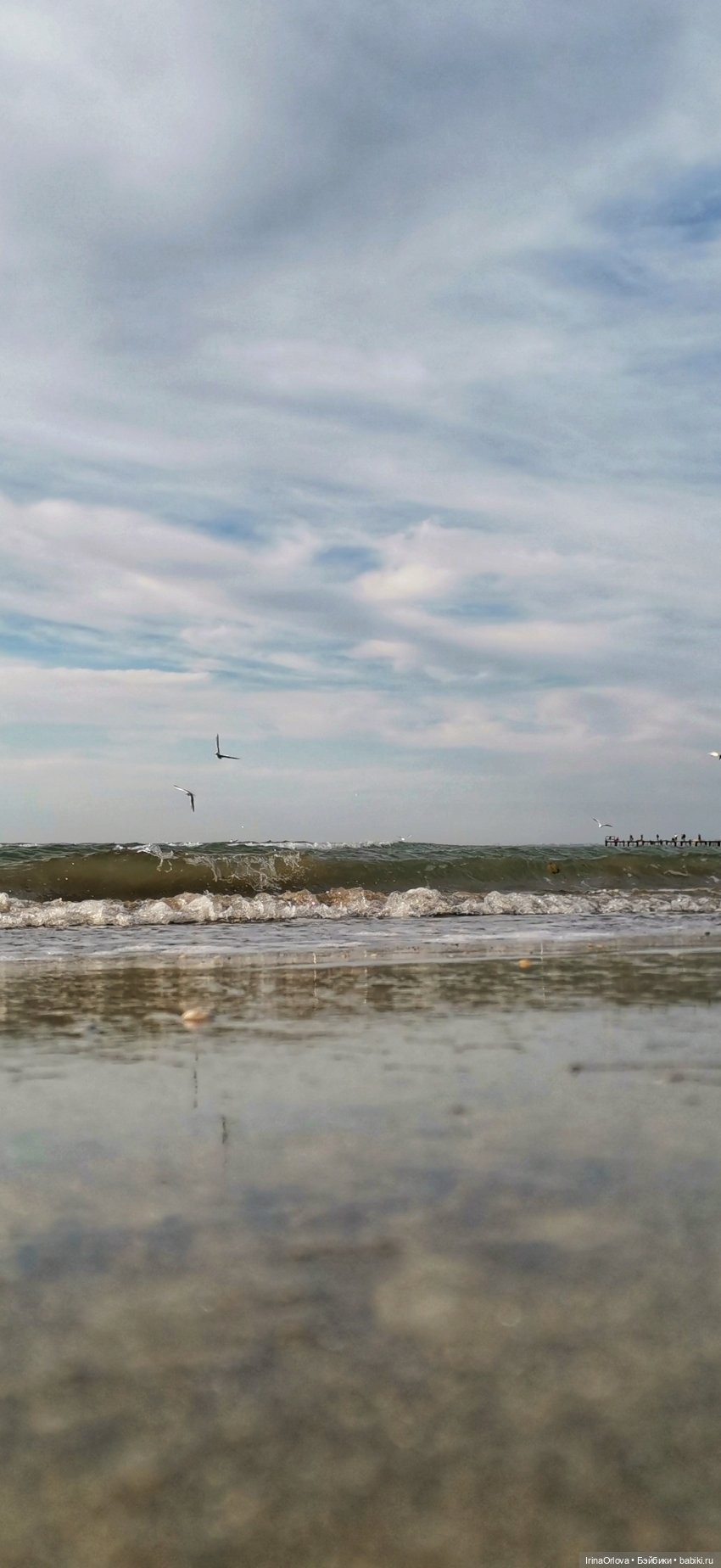 Прогулка по осенней Анапе (фото 5)