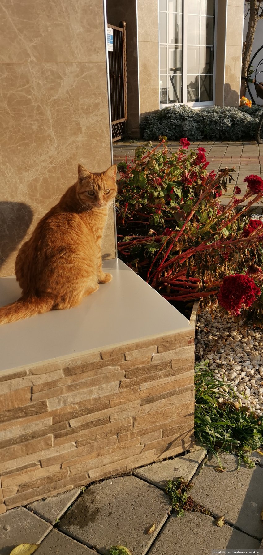 Прогулка по осенней Анапе