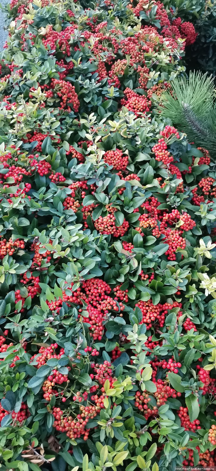 Прогулка по осенней Анапе