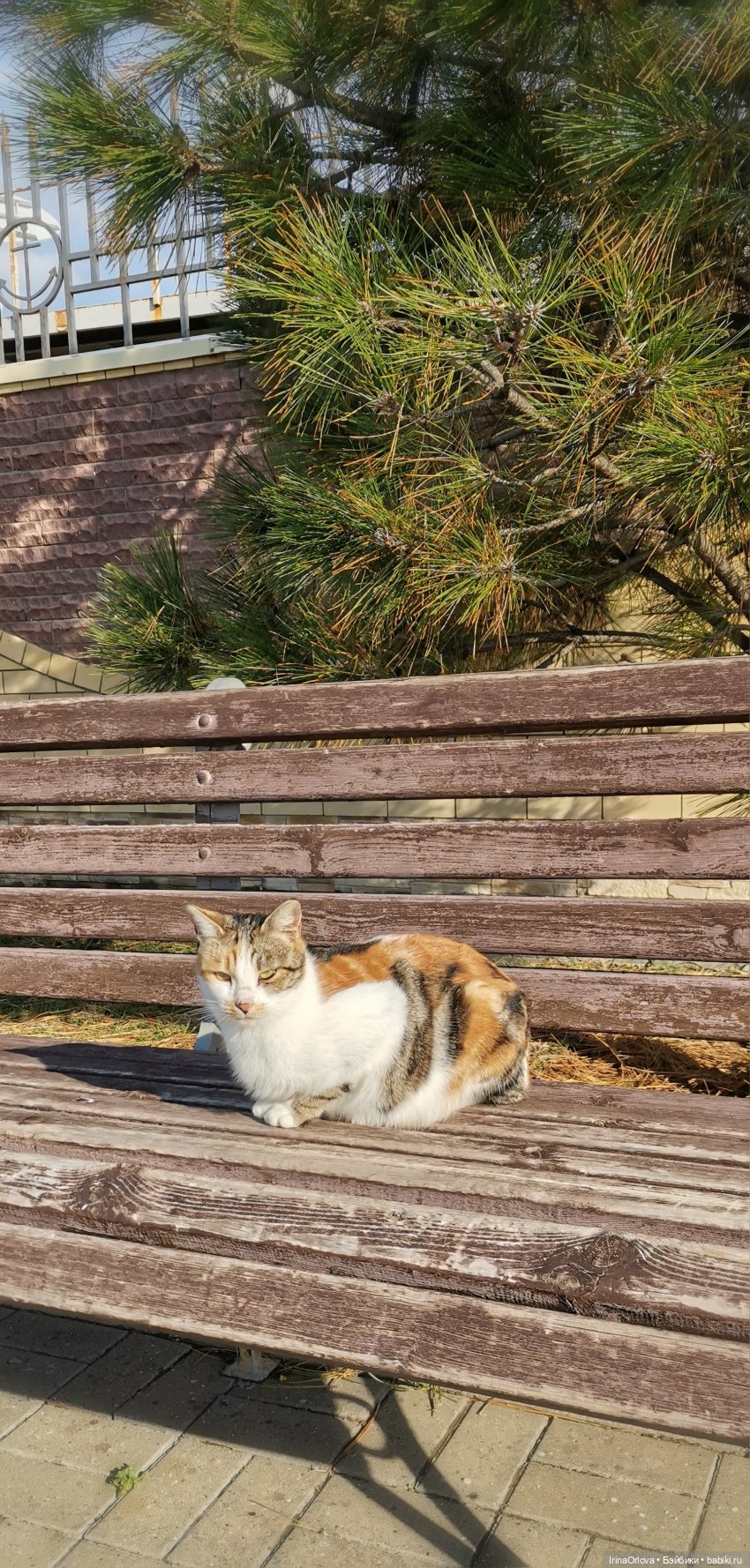 Прогулка по осенней Анапе
