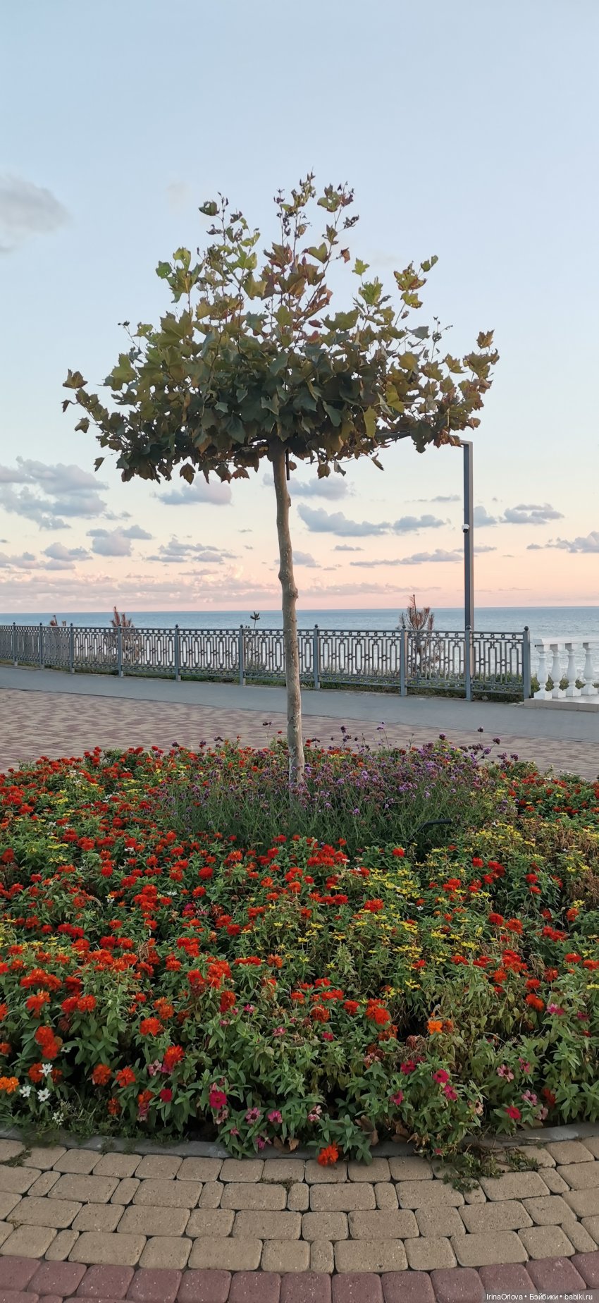 Прогулка по осенней Анапе