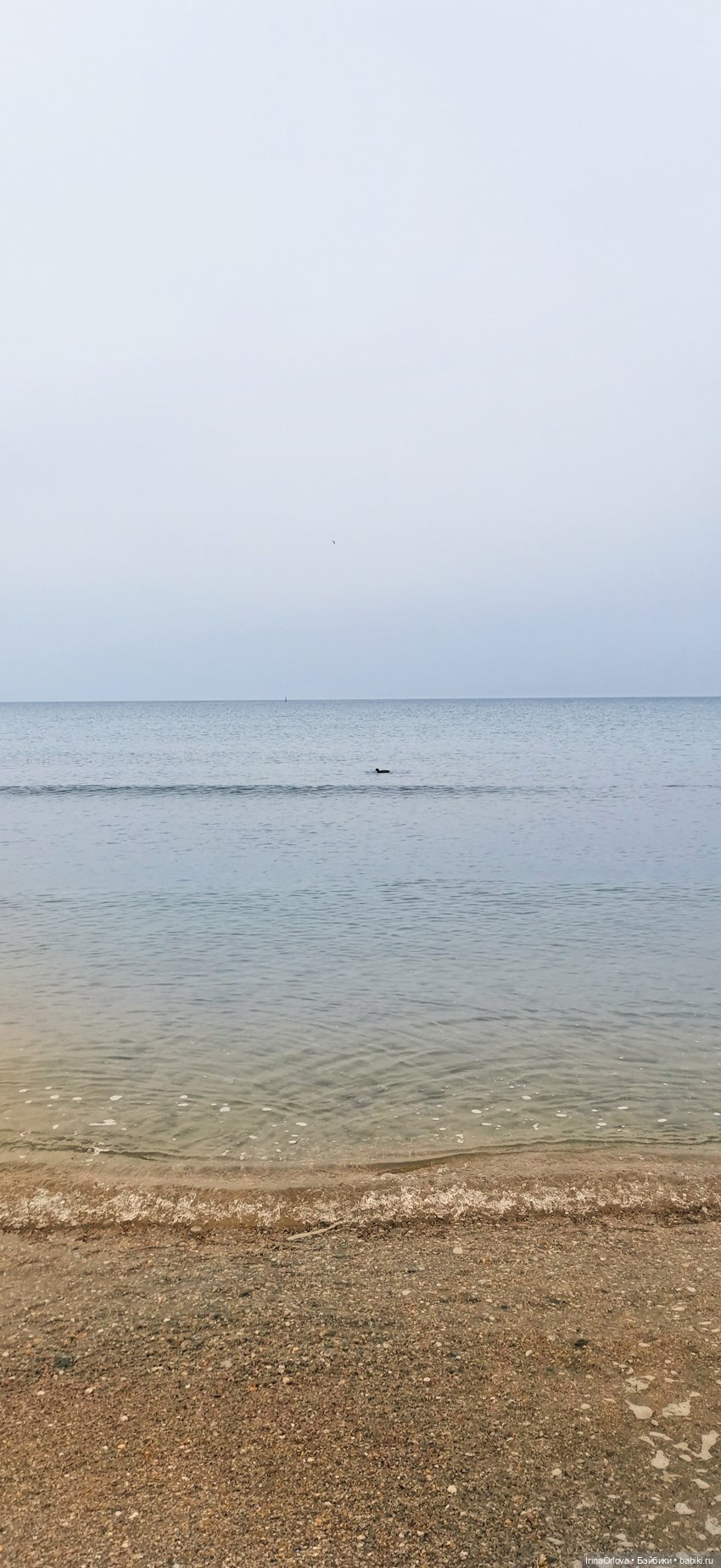 Хочу весну...Хочу весну-у -у (фото 10)