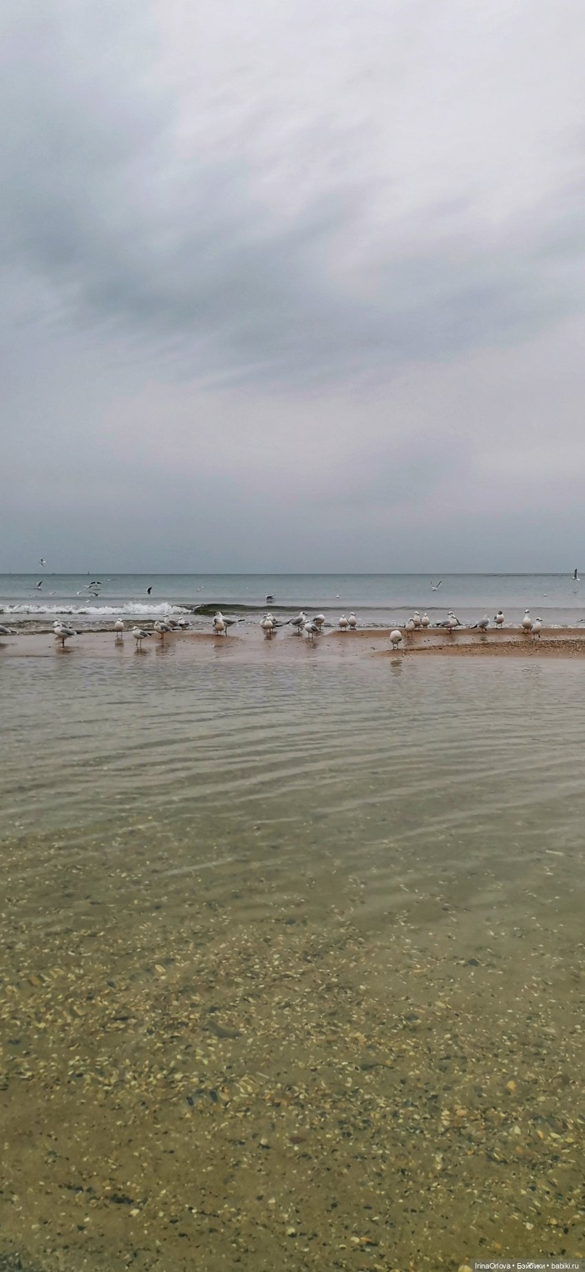 Хочу весну...Хочу весну-у -у