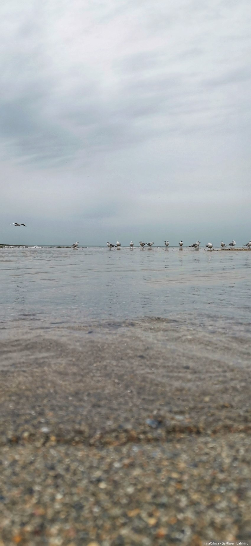 Хочу весну...Хочу весну-у -у