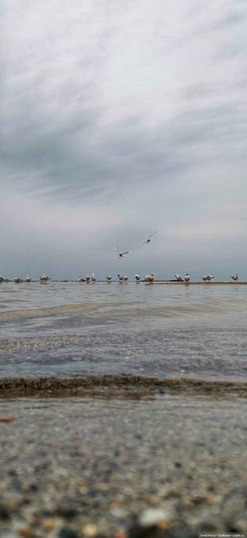 Хочу весну...Хочу весну-у -у