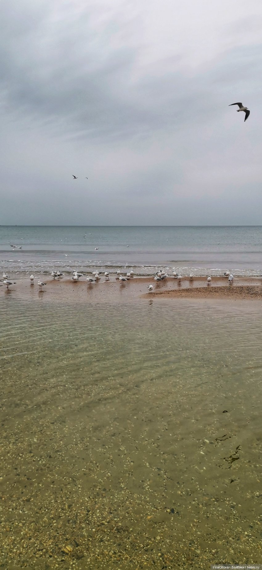 Хочу весну...Хочу весну-у -у