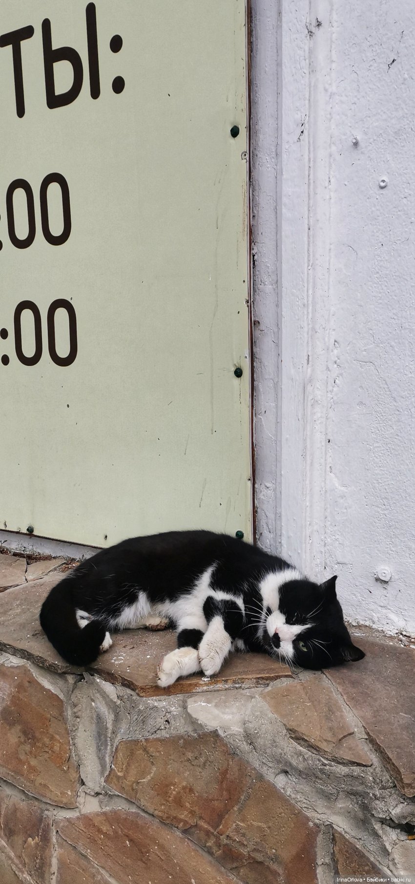 Весенняя прогулка к морю — Игровые куклы Zwergnase (Цвергназе) Junior: Джуниор