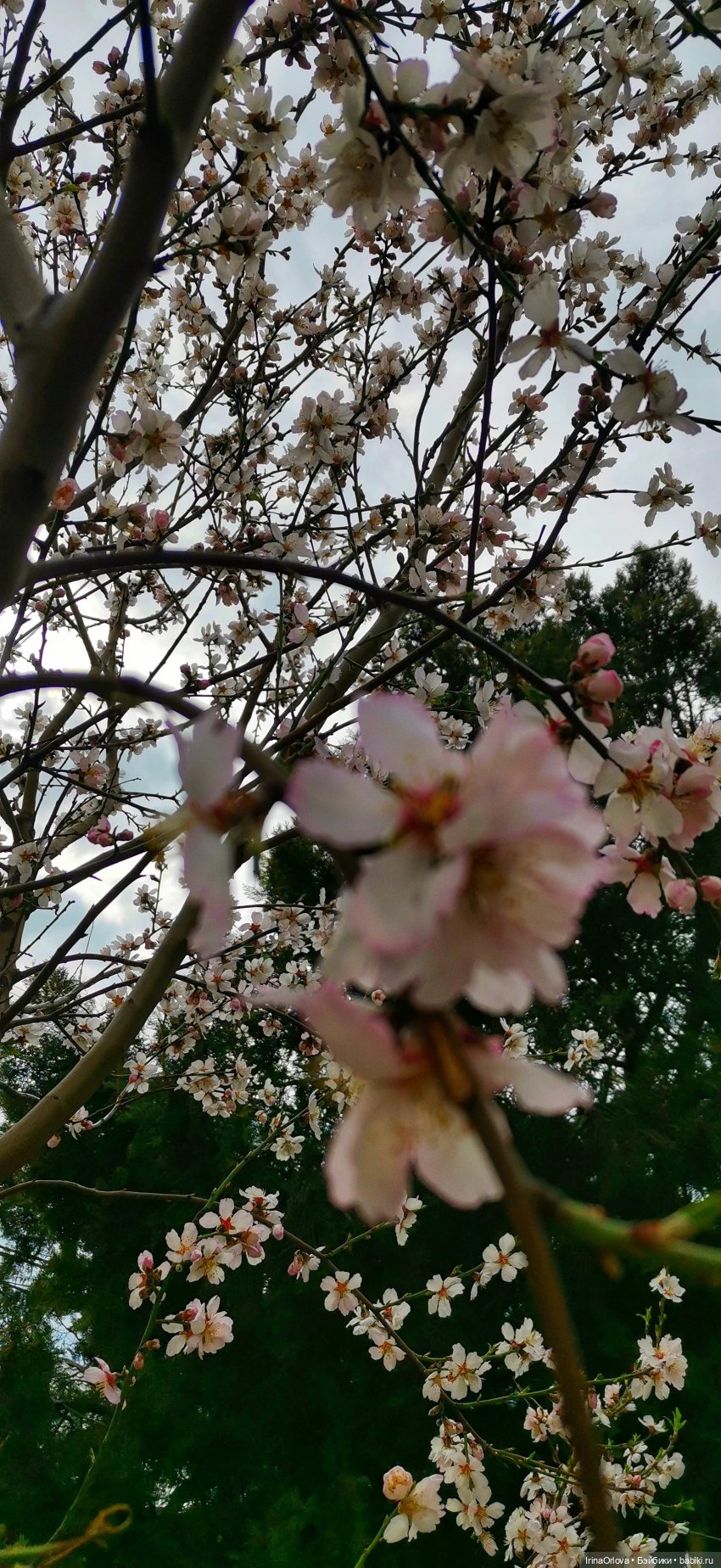 Весенняя прогулка к морю — Игровые куклы Zwergnase (Цвергназе) Junior: Джуниор