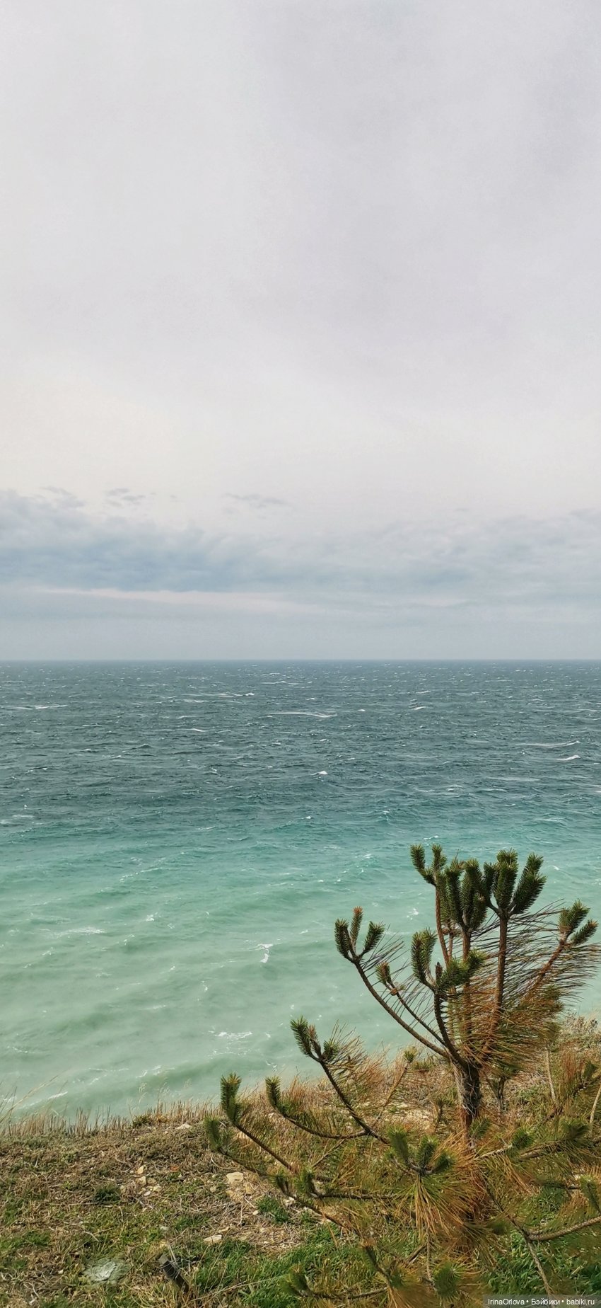 Весенняя прогулка к морю — Игровые куклы Zwergnase (Цвергназе) Junior: Джуниор