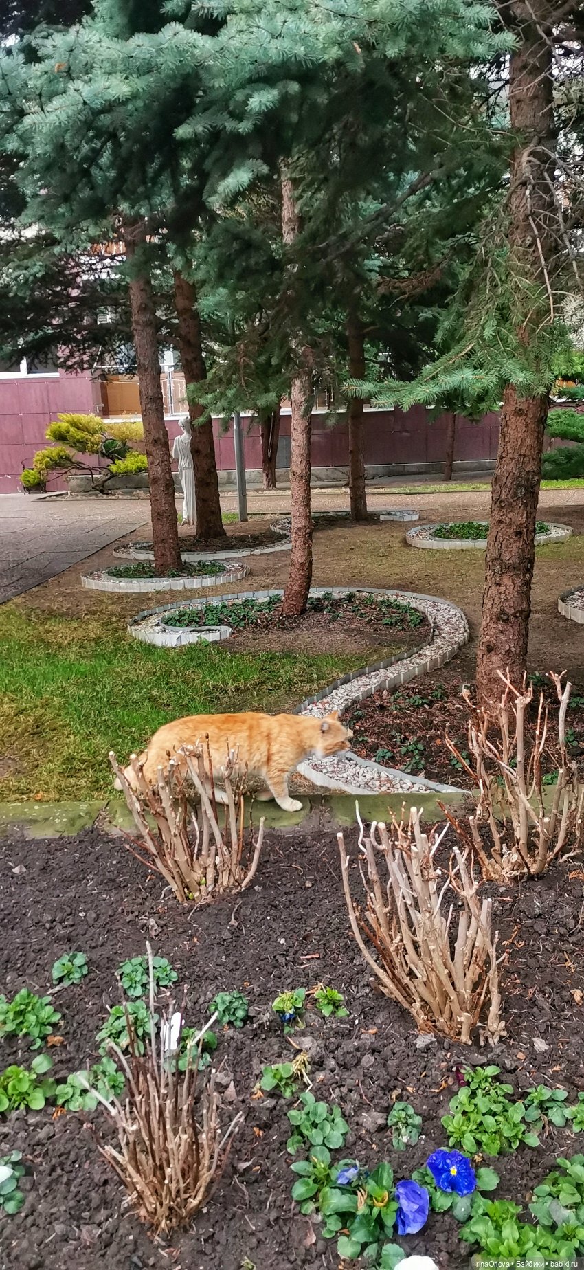 Весенняя прогулка к морю — Игровые куклы Zwergnase (Цвергназе) Junior: Джуниор