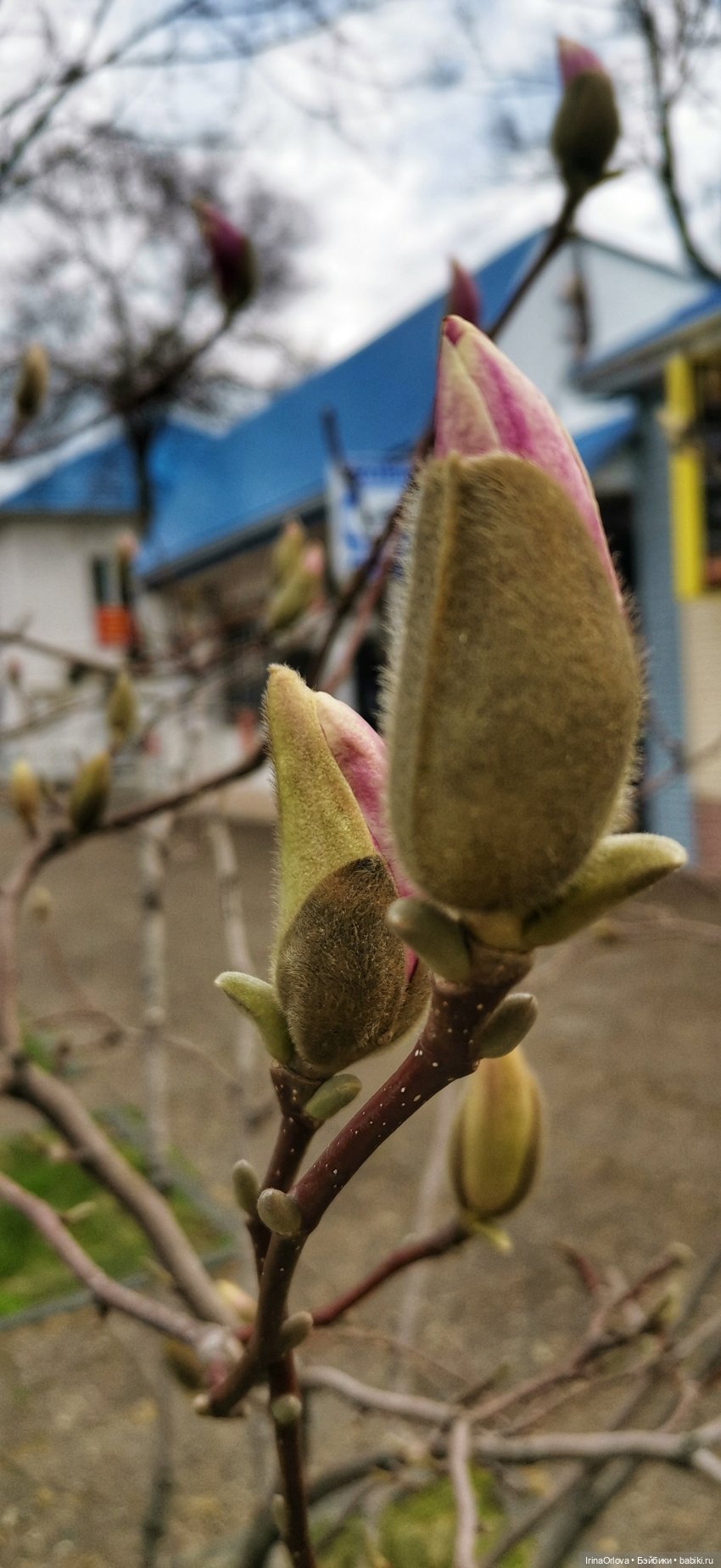 Весенняя прогулка к морю — Игровые куклы Zwergnase (Цвергназе) Junior: Джуниор