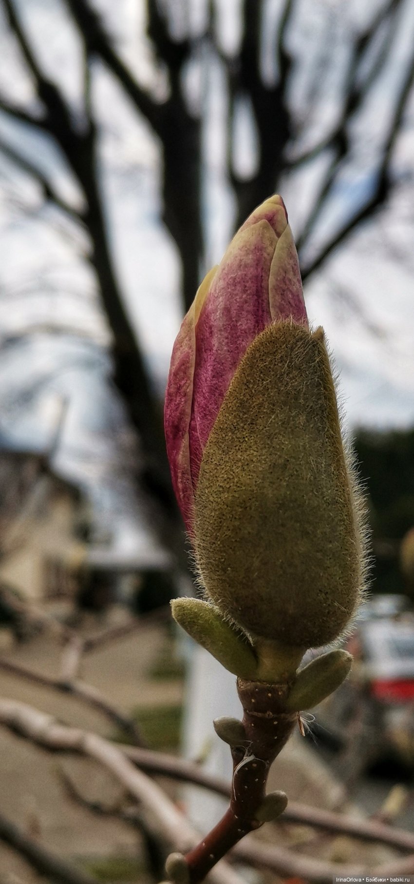 Весенняя прогулка к морю — Игровые куклы Zwergnase (Цвергназе) Junior: Джуниор