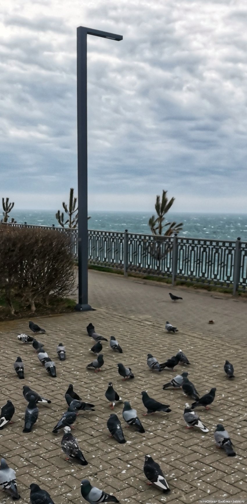 Весенняя прогулка к морю — Игровые куклы Zwergnase (Цвергназе) Junior: Джуниор (фото 7)