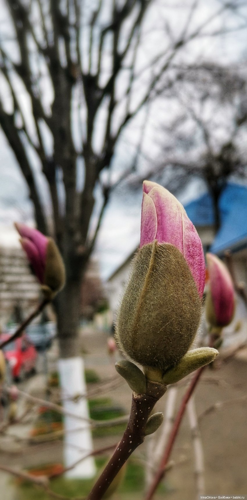 Весенняя прогулка к морю — Игровые куклы Zwergnase (Цвергназе) Junior: Джуниор