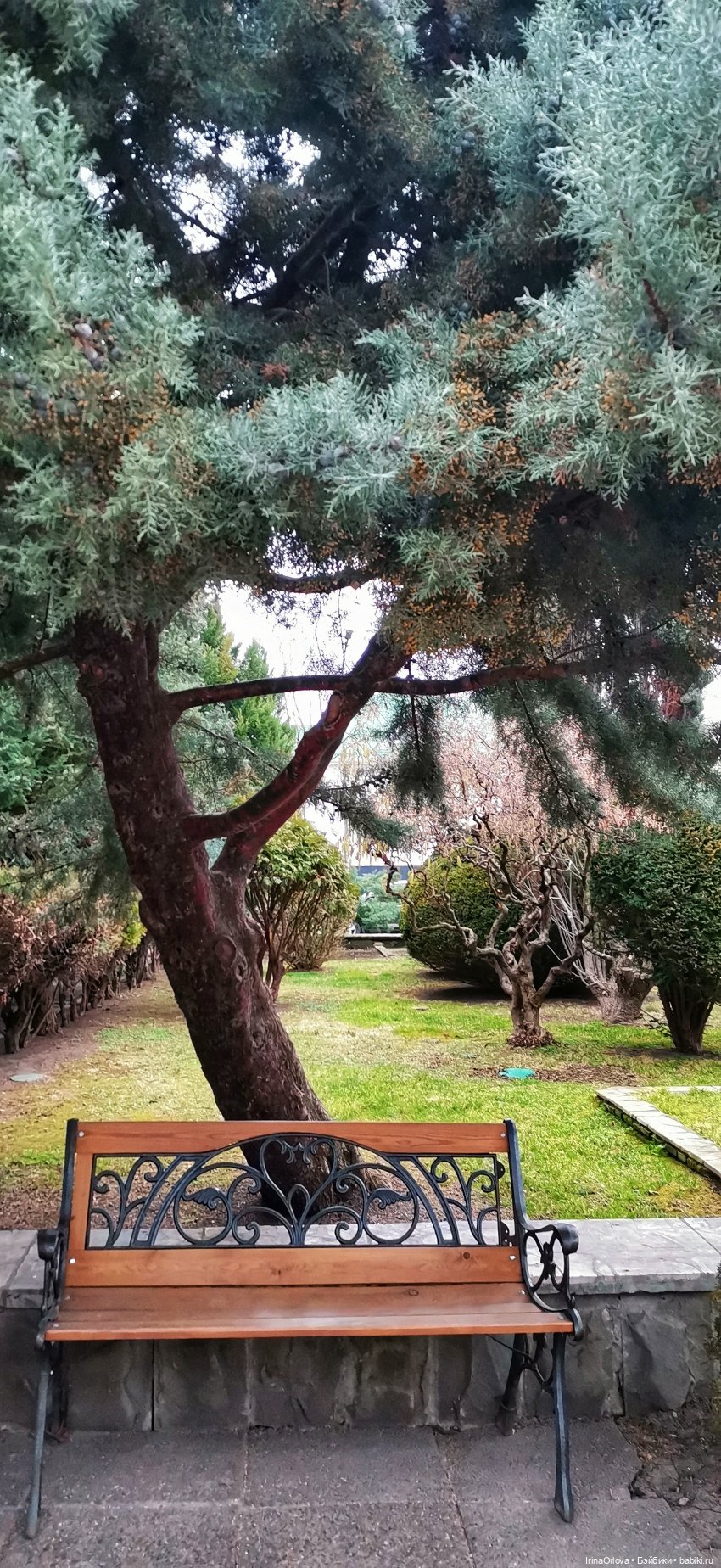 Весенняя прогулка к морю — Игровые куклы Zwergnase (Цвергназе) Junior: Джуниор