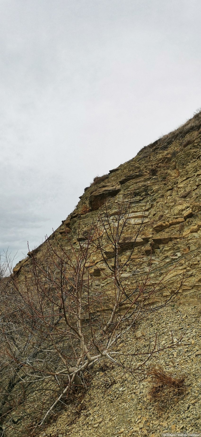 Весенняя прогулка к морю — Игровые куклы Zwergnase (Цвергназе) Junior: Джуниор