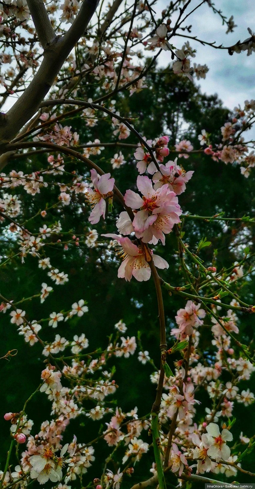 Весенняя прогулка к морю — Игровые куклы Zwergnase (Цвергназе) Junior: Джуниор