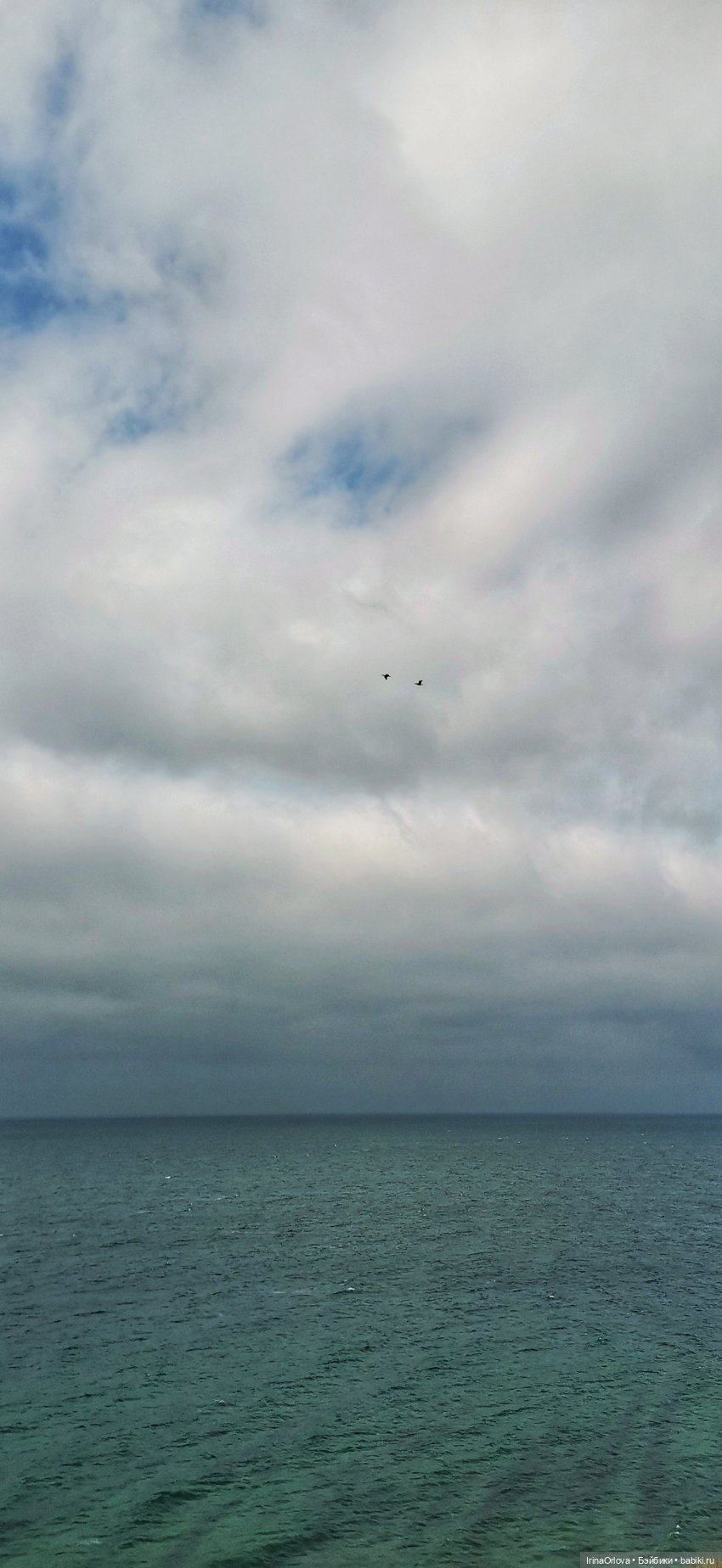 Кукляй в Анапе — Выставки кукол и мишек Тедди: фоторепортажи