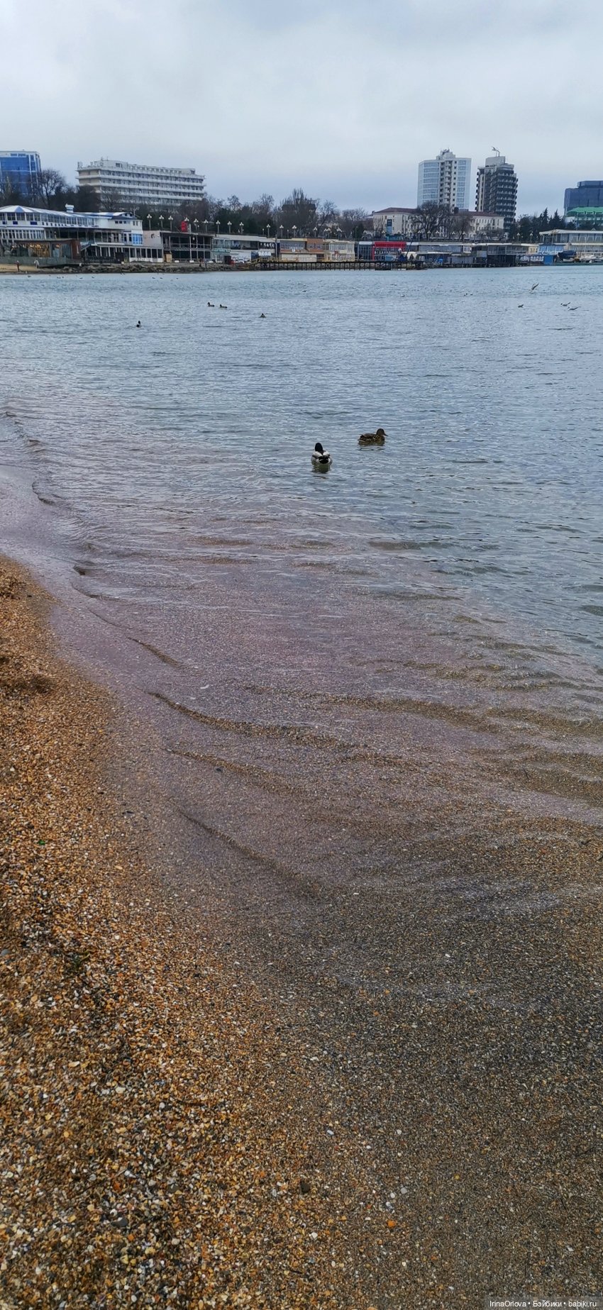 Кукляй в Анапе — Выставки кукол и мишек Тедди: фоторепортажи