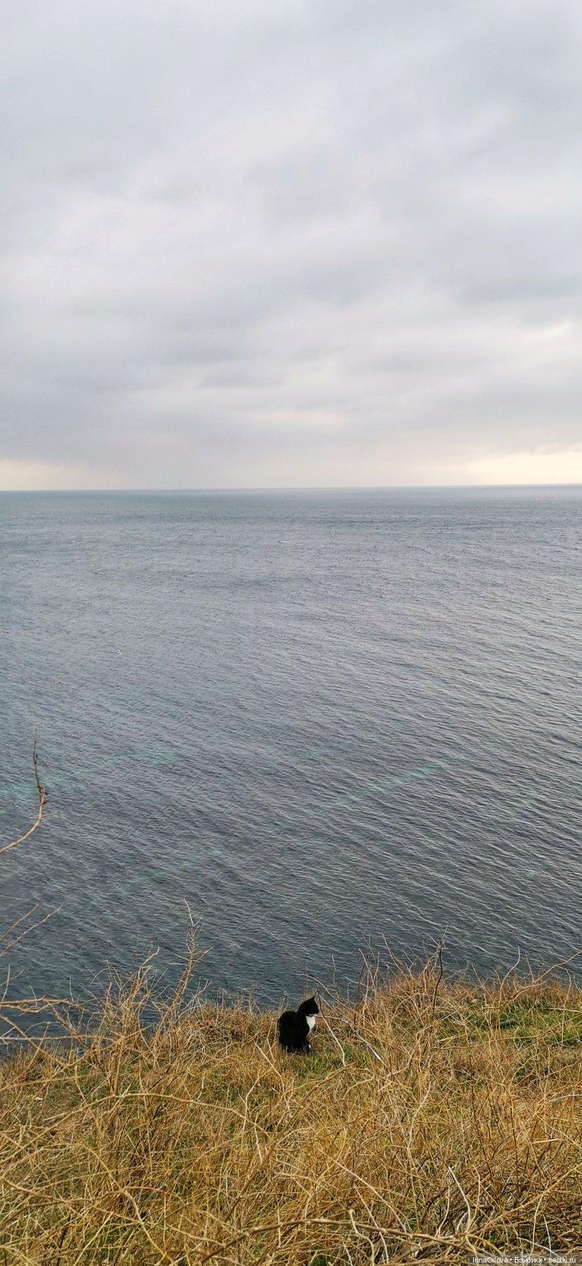 Кукляй в Анапе — Выставки кукол и мишек Тедди: фоторепортажи