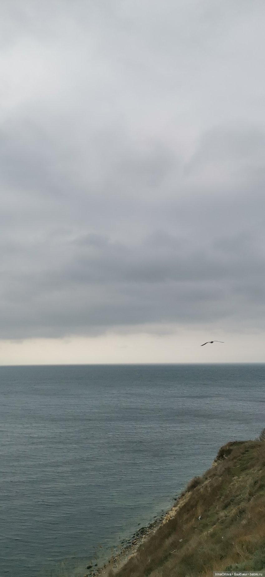 Кукляй в Анапе — Выставки кукол и мишек Тедди: фоторепортажи