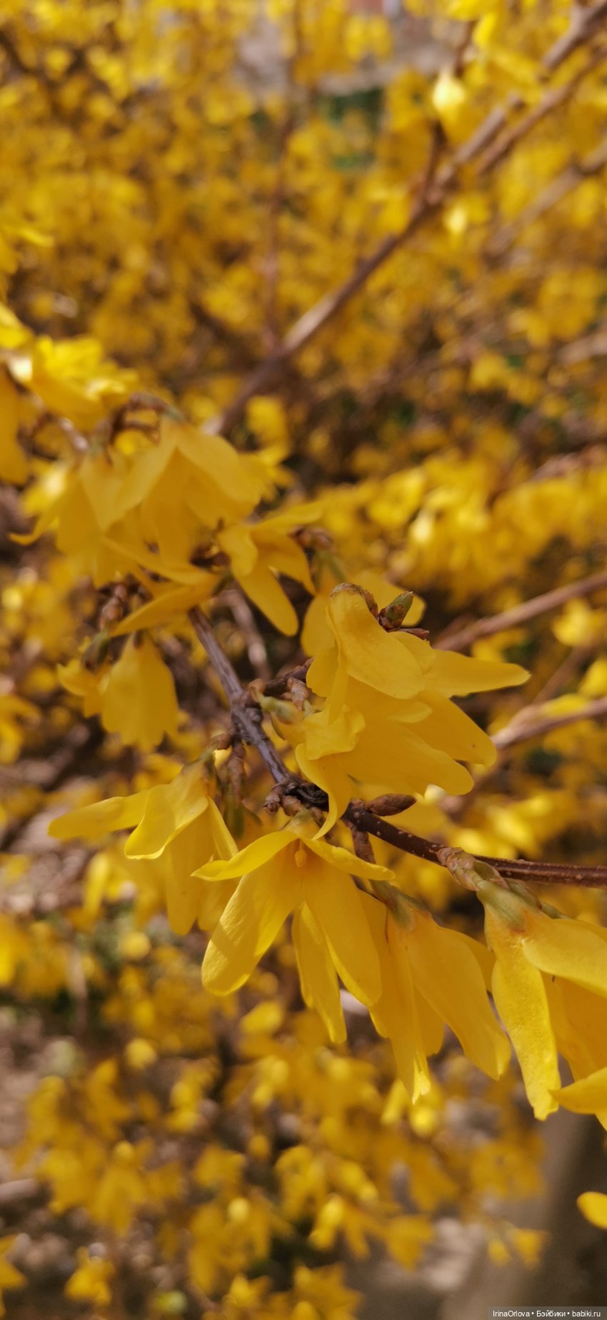 Маша - фантазёрка наша — Игровые куклы Zwergnase (Цвергназе) Junior: Джуниор