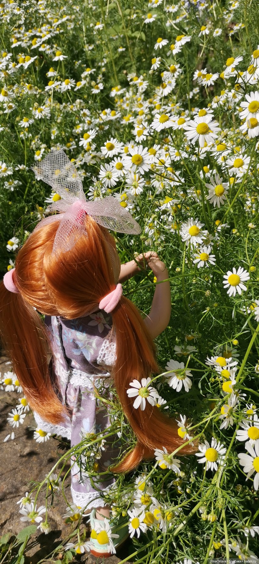 Машка и ромашки — Игровые куклы Zwergnase (Цвергназе) Junior: Джуниор