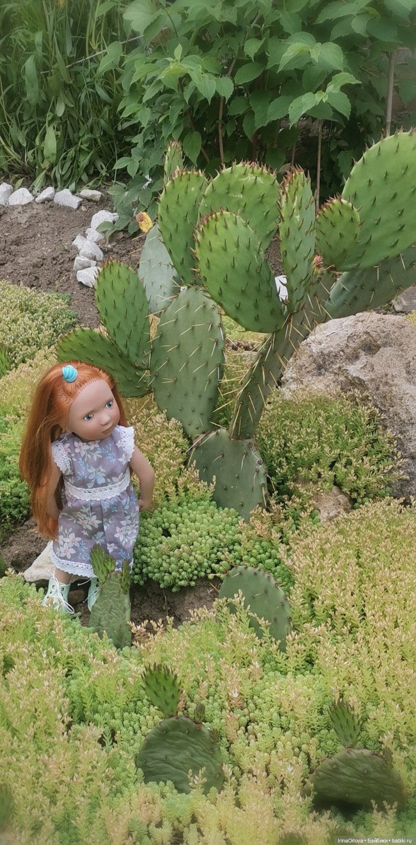 Симпатичная колючка — Игровые куклы Zwergnase (Цвергназе) Junior: Джуниор (фото 5)