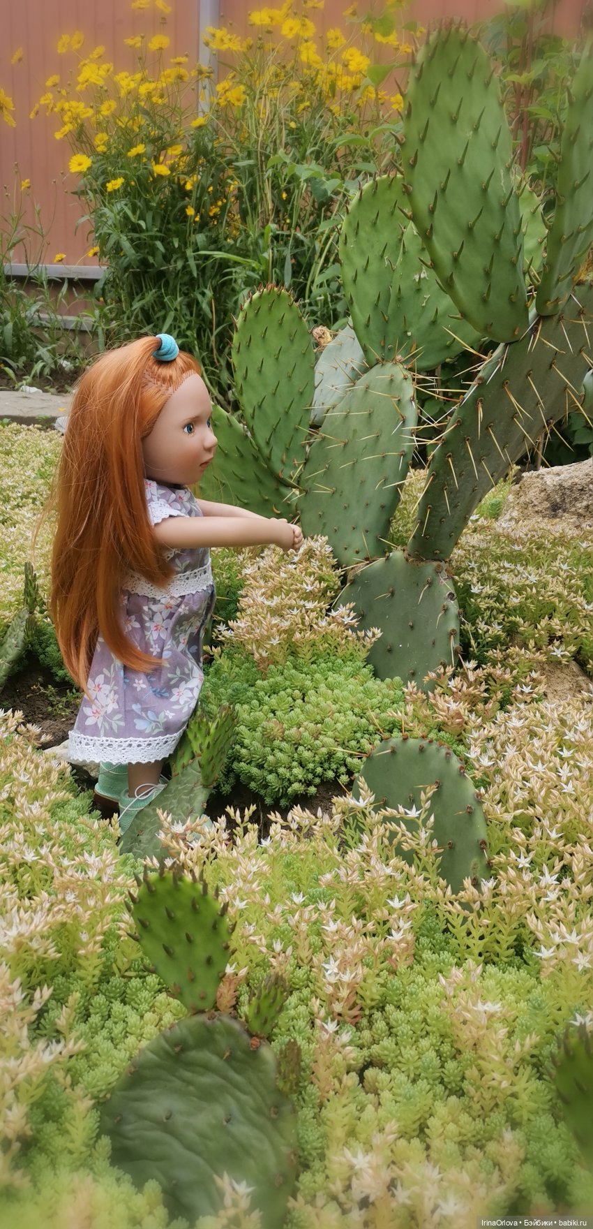 Симпатичная колючка — Игровые куклы Zwergnase (Цвергназе) Junior: Джуниор (фото 9)