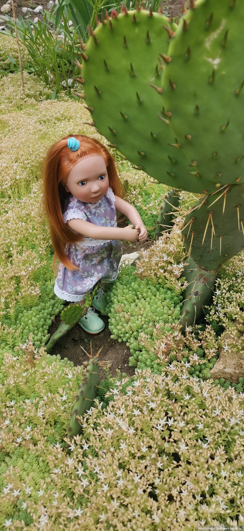 Симпатичная колючка — Игровые куклы Zwergnase (Цвергназе) Junior: Джуниор