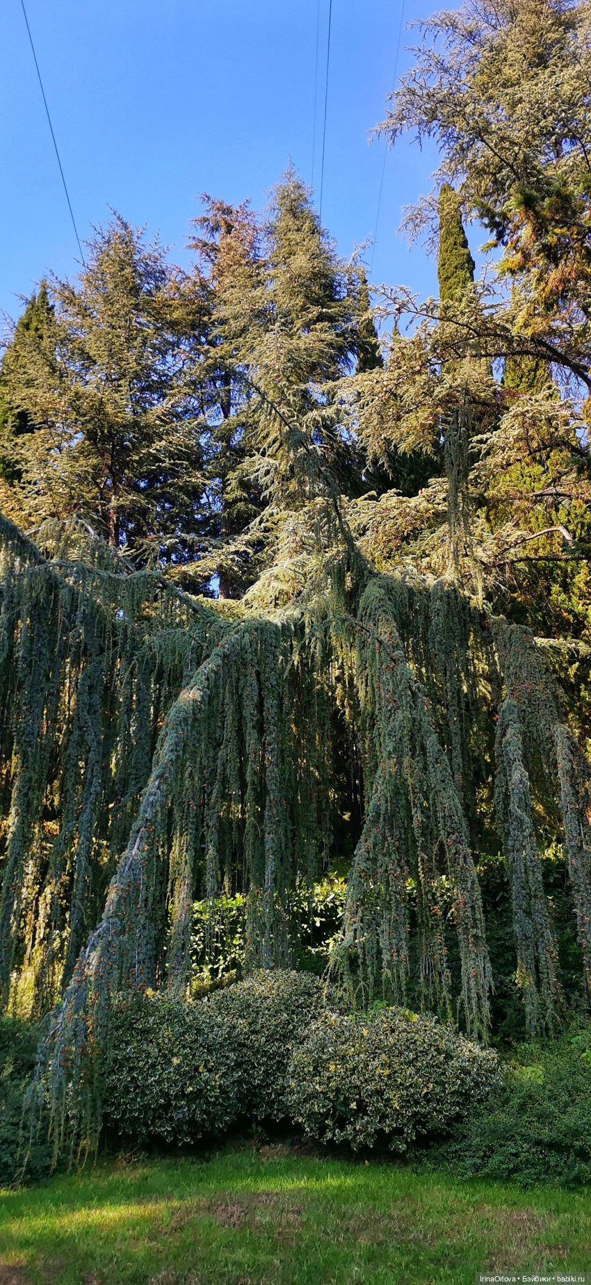 Большое путешествие маленькой девочки Часть 2