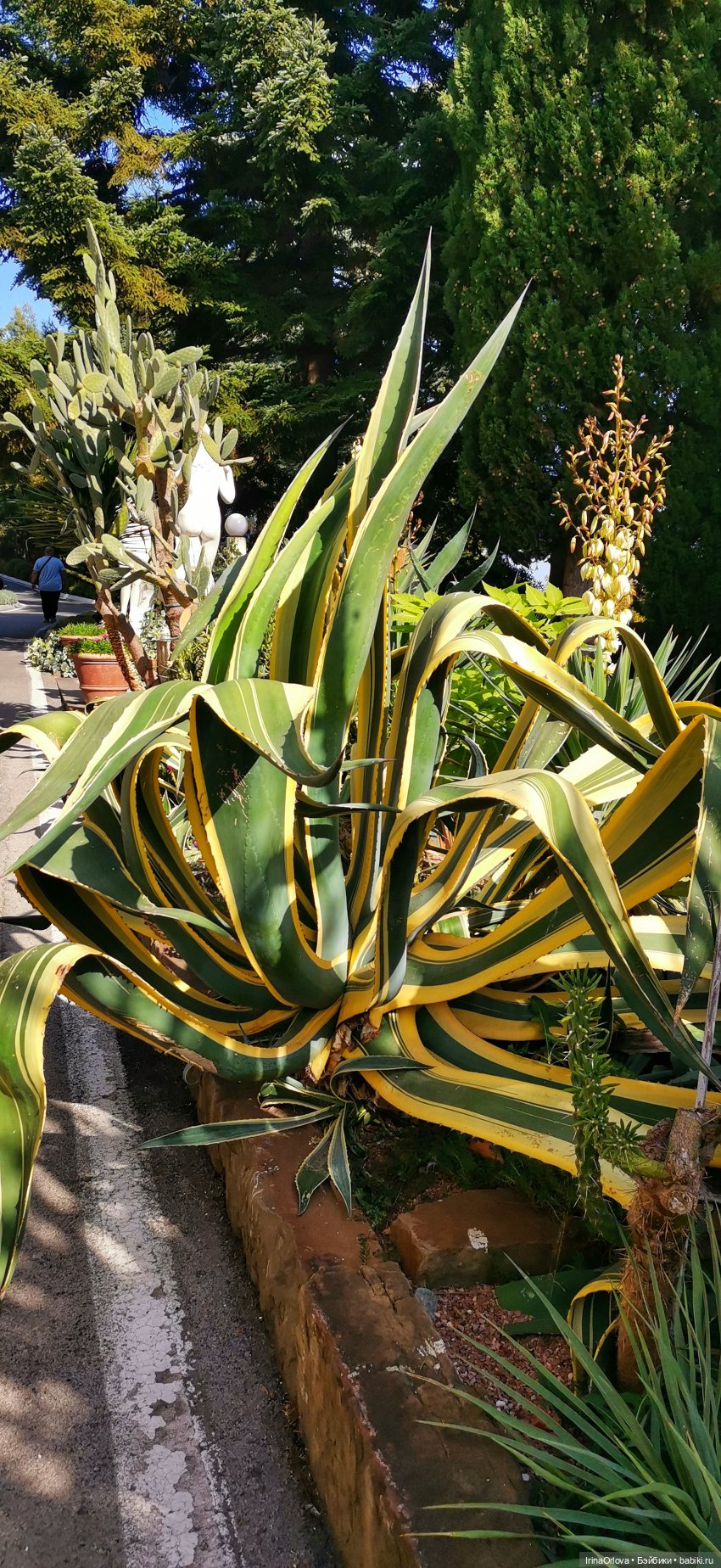 Большое путешествие маленькой девочки Часть 2