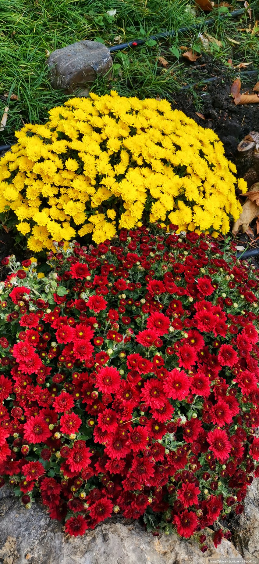 Большое путешествие маленькой девочки Часть 2