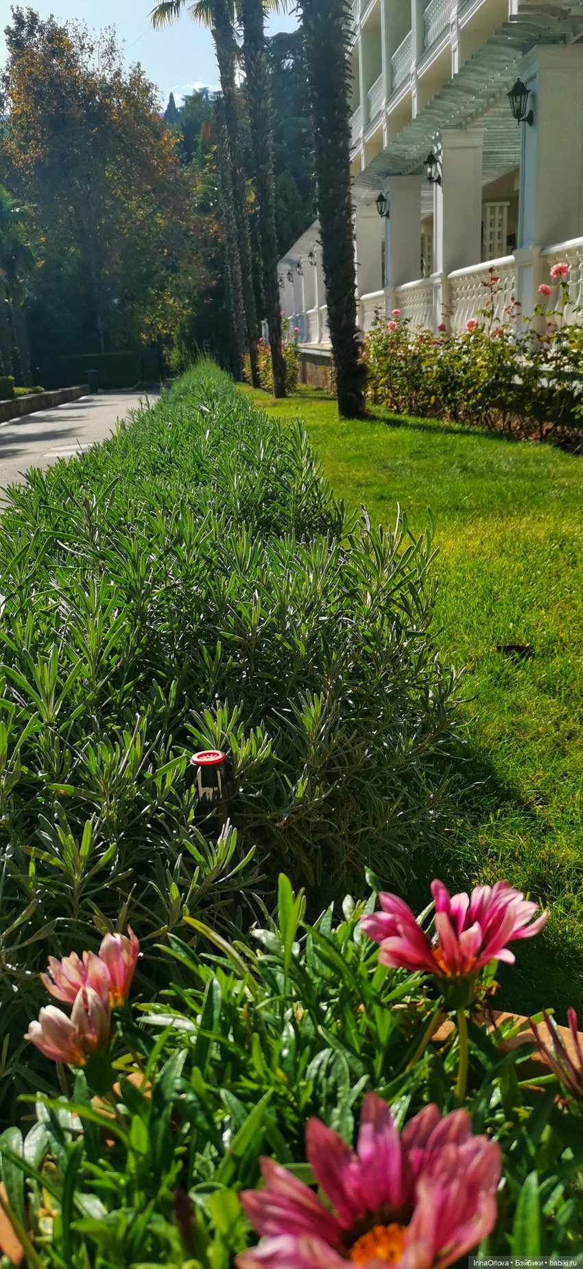 Большое путешествие маленькой девочки Часть 2