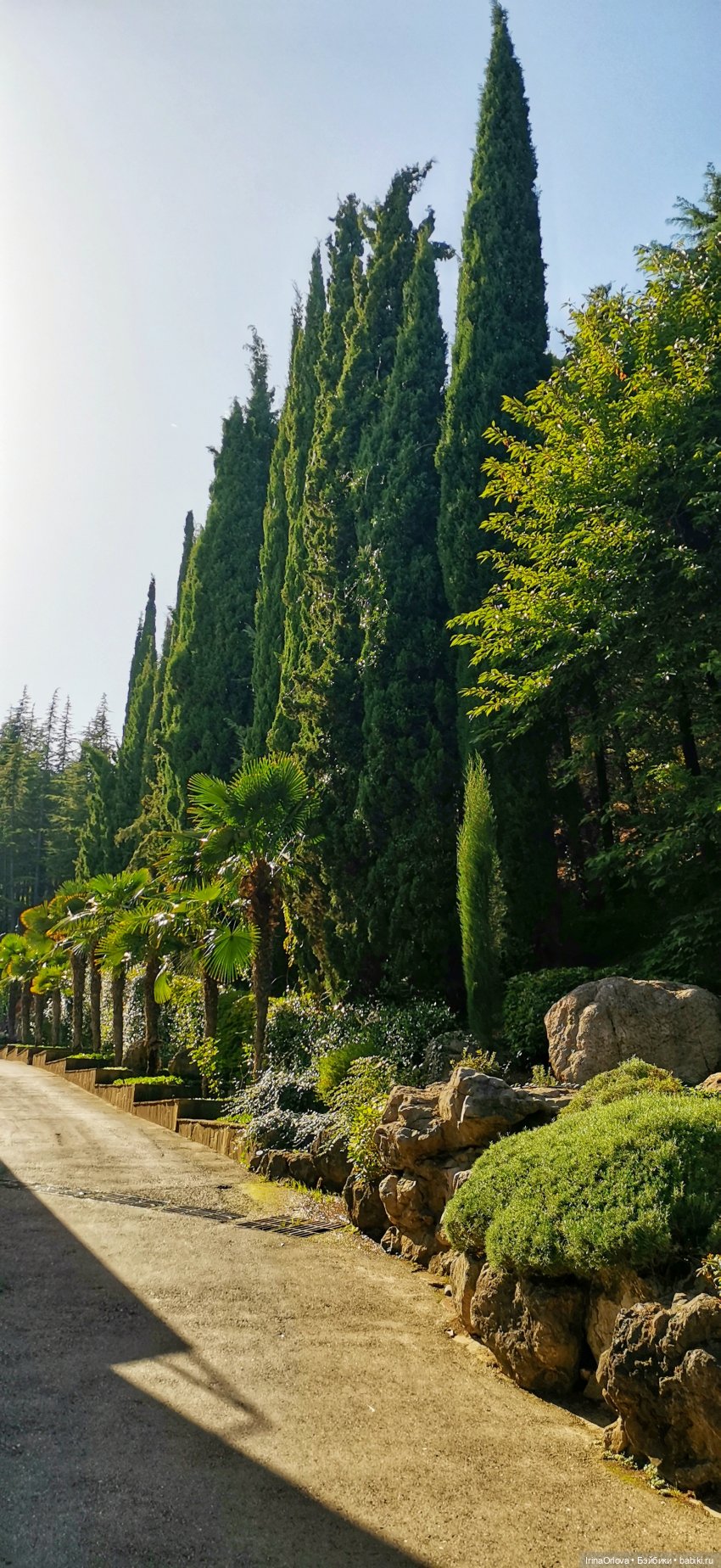 Большое путешествие маленькой девочки Часть 2 (фото 6)