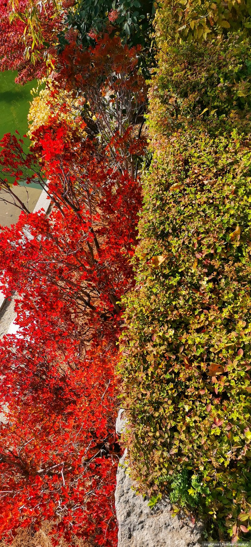 Большое путешествие маленькой девочки Часть 2